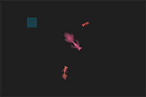 三只金鱼游动透明flash动画